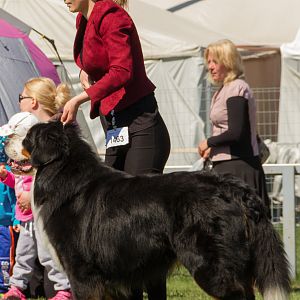 IMG_2420