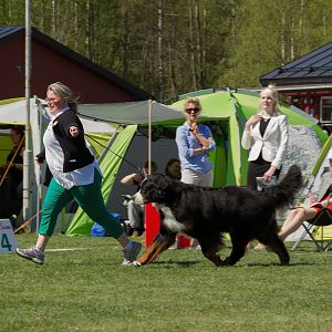 IMG_2429