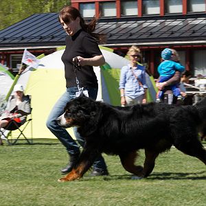 IMG_2466