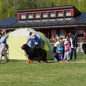 IMG_2494