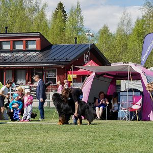 IMG_2496