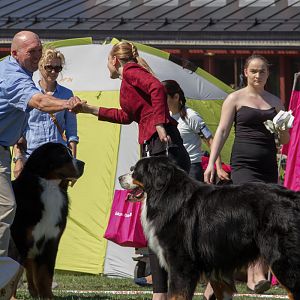 IMG_2537