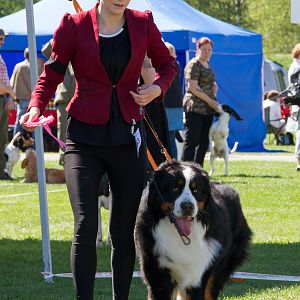 IMG_2542