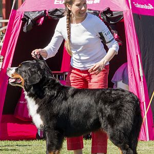 IMG_2550