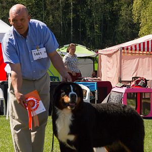 IMG_2595