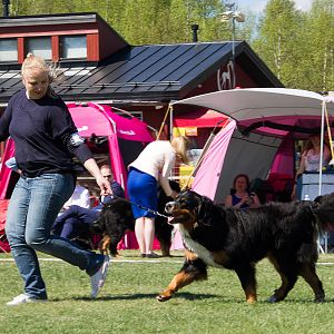 IMG_2619