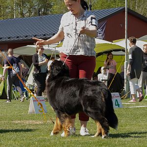 IMG_2650