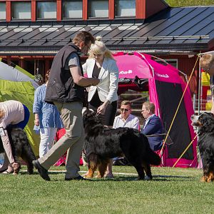 IMG_2671