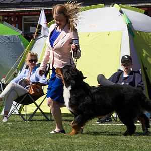 IMG_2689