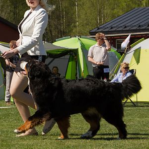 IMG_2711