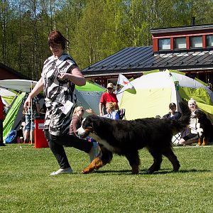 IMG_2729