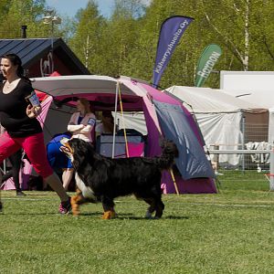 IMG_2736