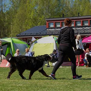 IMG_2742