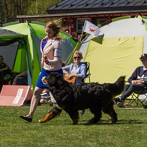 IMG_2779