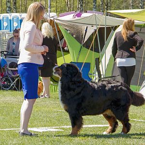 IMG_2854