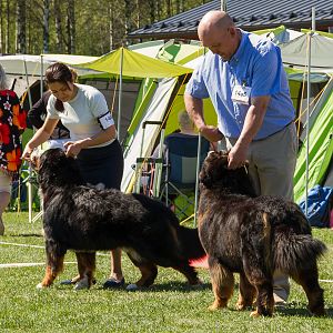 IMG_2883