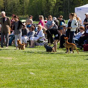 IMG_2950