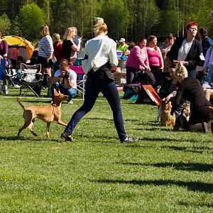 IMG_2955