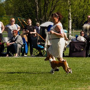 IMG_2956