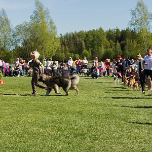 IMG_2966