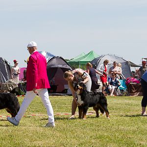 IMG_3818