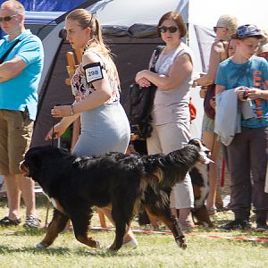 IMG_3825