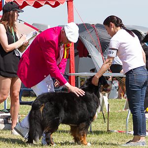 IMG_3833
