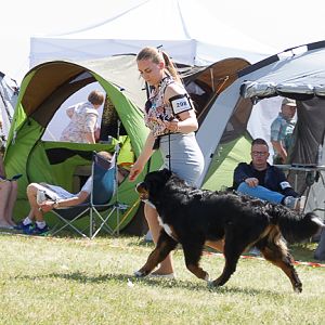 IMG_3847