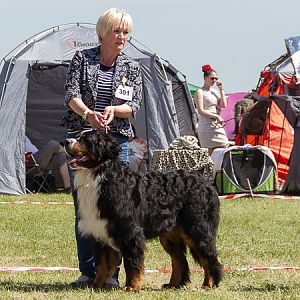 IMG_3874