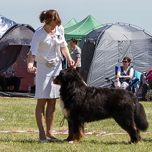 IMG_3875