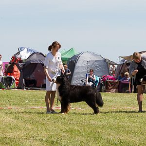 IMG_3877