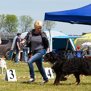 IMG_3885