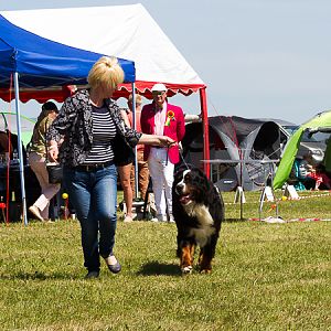 IMG_3902