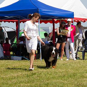 IMG_3913