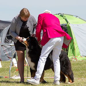 IMG_3921