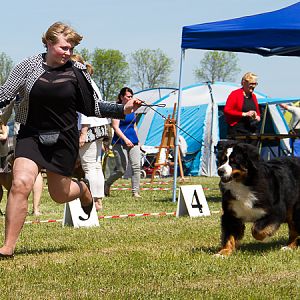 IMG_3924