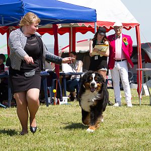 IMG_3928