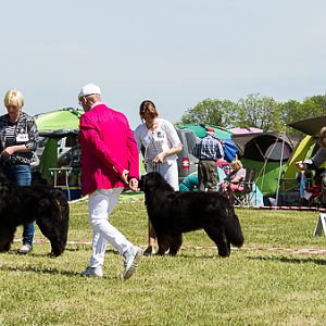 IMG_3935
