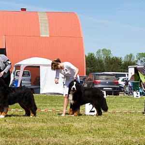 IMG_3949