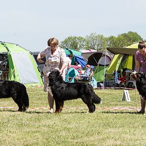 IMG_3960
