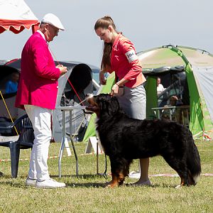 IMG_3978