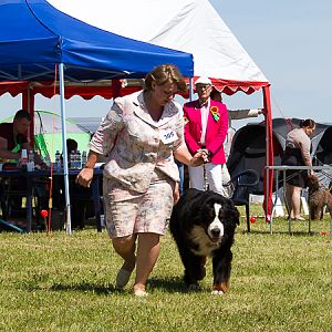 IMG_4003
