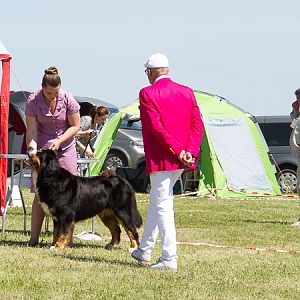 IMG_4008