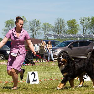 IMG_4011