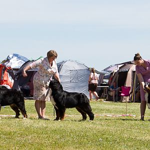 IMG_4025