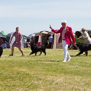 IMG_4044