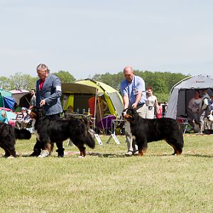 IMG_4050