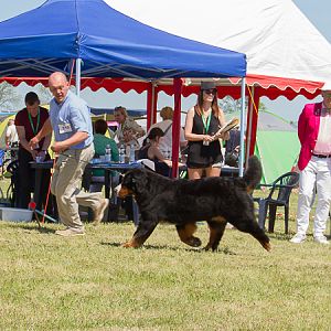 IMG_4068