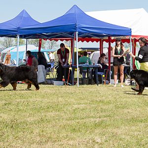 IMG_4070