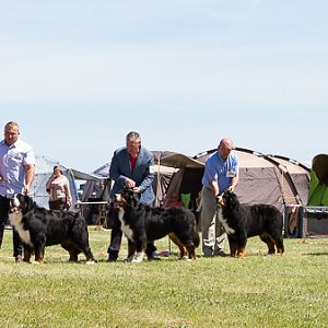 IMG_4116